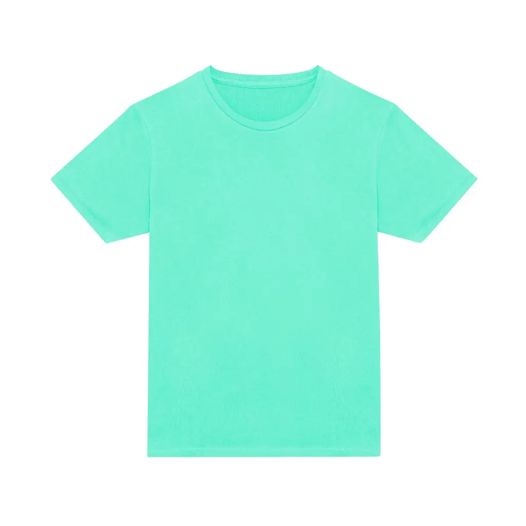 mens-everyday-cotton-tshirt-peppermint-front-jt100.webp