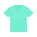 mens-everyday-cotton-tshirt-peppermint-front-jt100.webp