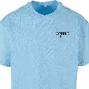 31.webp