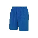 mens-performance-shorts-royal-blue-back-jc080.webp