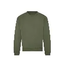 unisex-heavy-sweatshirt-earthy-green-front-JH123.webp