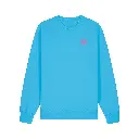 41.webp