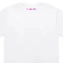 5.webp
