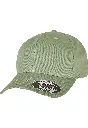 YP004_DarkLeafGreen_FT.webp