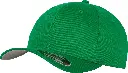 YP004_PepperGreen_FT.webp