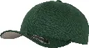 YP004_Spruce_FT.webp
