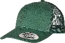 YP023_Evergreen_FT.webp