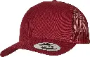 YP023_Cranberry_FT.webp