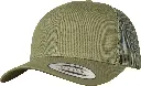 YP023_Buck_FT.webp