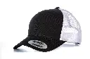YP023_Black_White_FT.webp