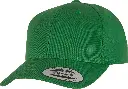 YP035_ClassicGreen_ANGLE.webp