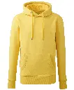 AM001_Yellow_FT.webp