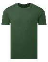 AM012_ForestGreen_FT.webp