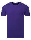 AM012_Purple_FT.webp