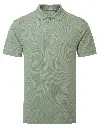 AQ010_Fern_FT.webp