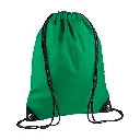 BG010_KellyGreen_FRONT.webp