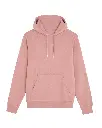 SX225_CanyonPink_FT.webp
