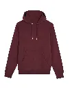 SX225_Burgundy_FT.webp