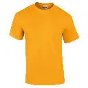 GD002_Gold_FRONT.webp