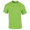 GD002_Lime_FRONT.webp