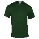 GD002_Forest_FRONT.webp