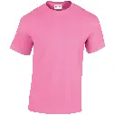 GD005_Azalea_FRONT.webp