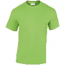 GD005_Lime_FRONT.webp