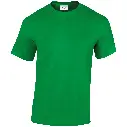 GD005_IrishGreen_FRONT.webp