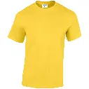 GD005_Daisy_FRONT.webp