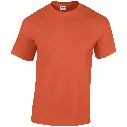 GD005_Sunset_FRONT.webp