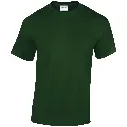 GD005_Forest_FRONT.webp