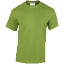 GD005_Kiwi_FRONT.webp