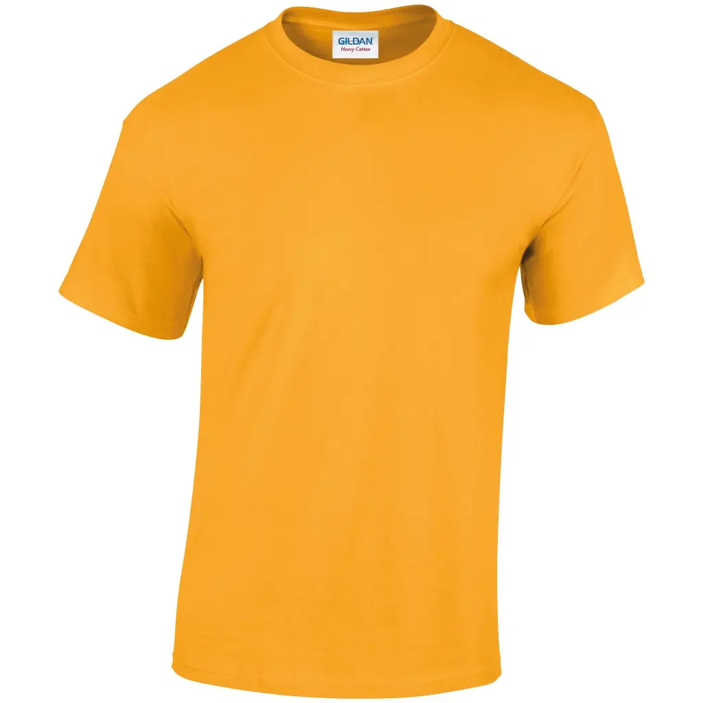 GD005_Gold_FRONT.webp