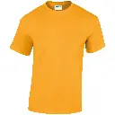 GD005_Gold_FRONT.webp