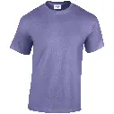 GD005_Violet_FRONT.webp