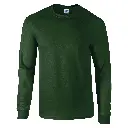 GD014_Forest_FRONT.webp
