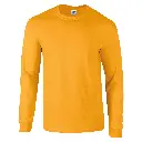 GD014_Gold_FRONT.webp
