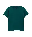 GD01B_FanMarineGreen_FT.webp