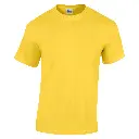 GD05B_Daisy_FRONT.webp