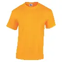 GD05B_Gold_FRONT.webp