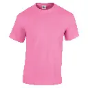GD05B_Azalea_FRONT.webp
