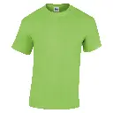 GD05B_Lime_FRONT.webp