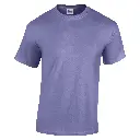 GD05B_Violet_FRONT.webp