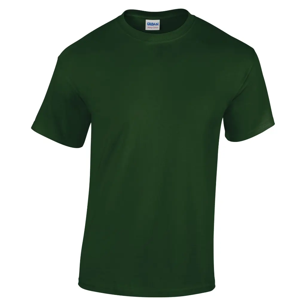 GD05B_Forest_FRONT.webp