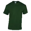 GD05B_Forest_FRONT.webp