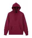 GD028_Garnet_FT.webp