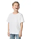 GD24B_LS02_2026.webp