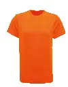 TR010_22_ORANGE.webp