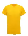 TR010_28_SUNYELLOW.webp