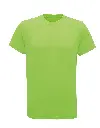 TR010_18_LIGHTNINGGREEN.webp